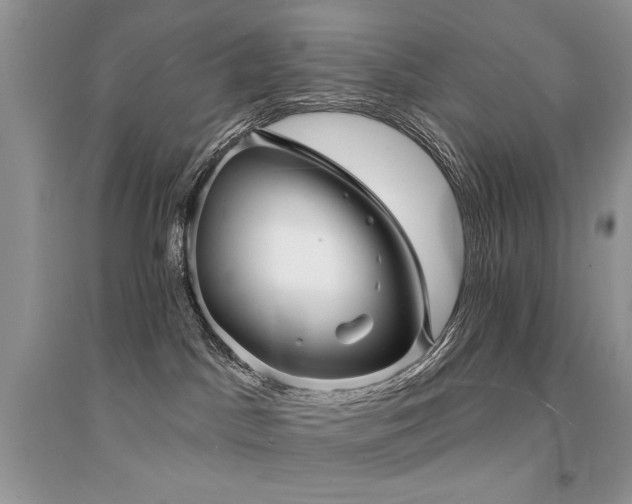 X0000094960045200711291450