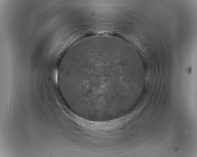 X0000094960046200711291450