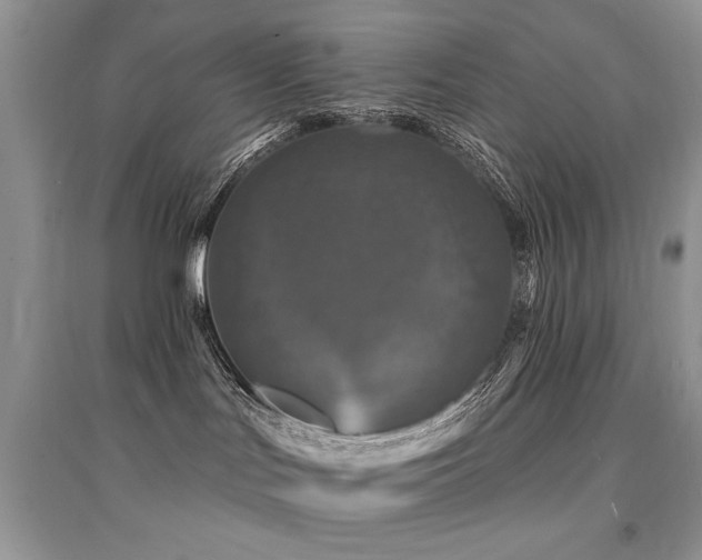 X0000094960047200711291450