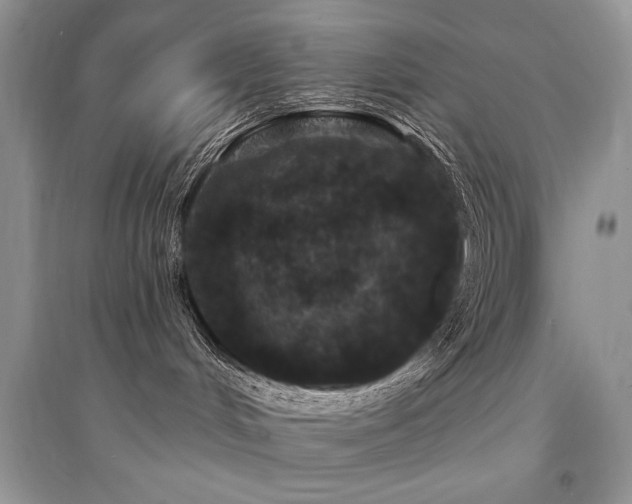 X0000094960048200711291450