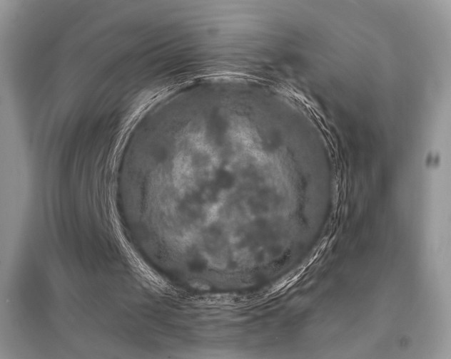 X0000094960049200711291450