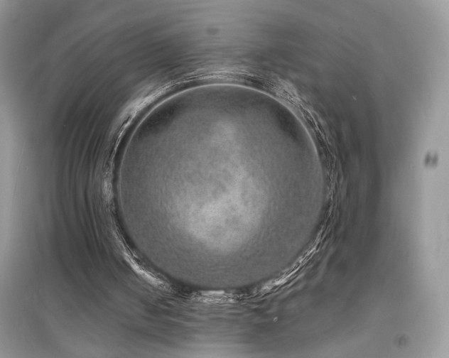 X0000094960050200711291450