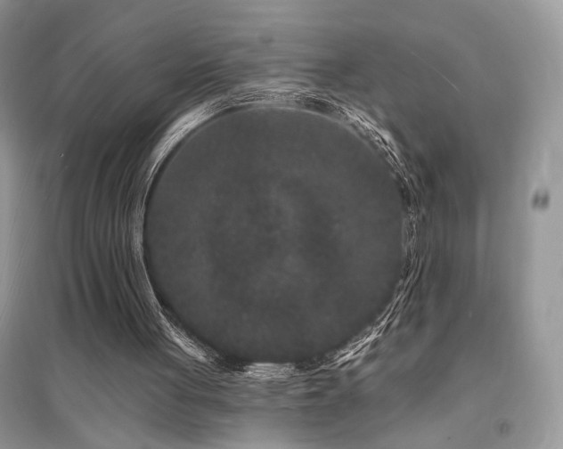 X0000094960051200711291450