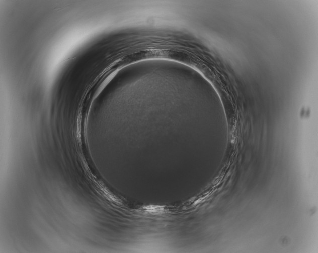 X0000094960052200711291450