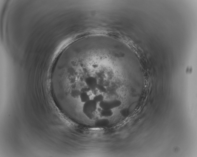 X0000094960053200711291450