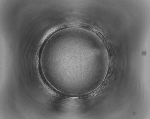 X0000094960054200711291450