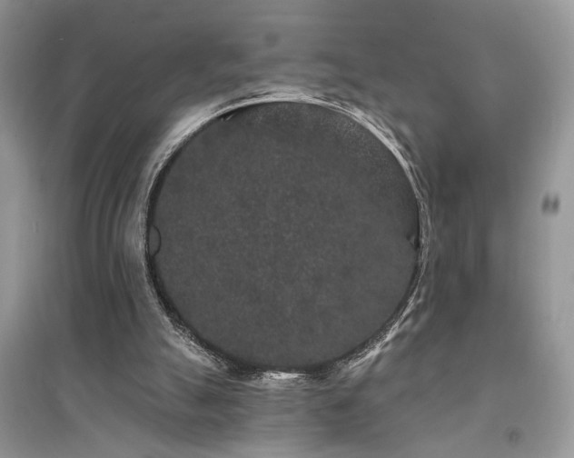 X0000094960055200711291450