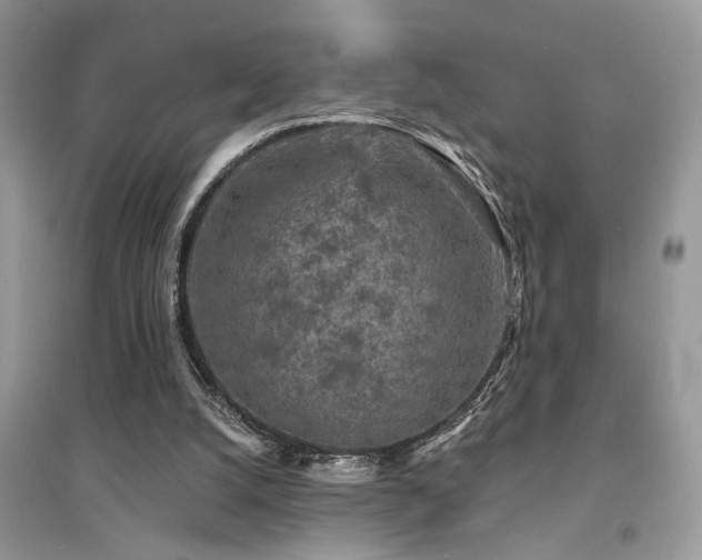 X0000094960056200711291450