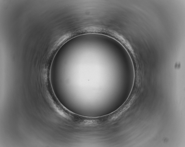 X0000094960057200711291450