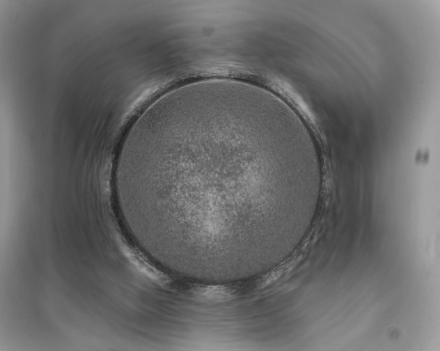 X0000094960058200711291450