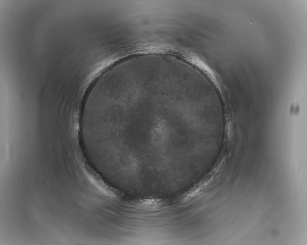 X0000094960059200711291450