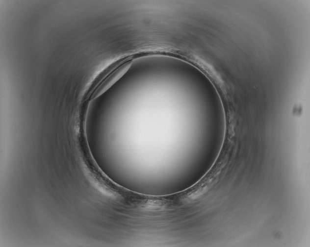 X0000094960060200711291450