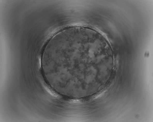 X0000094960061200711291450