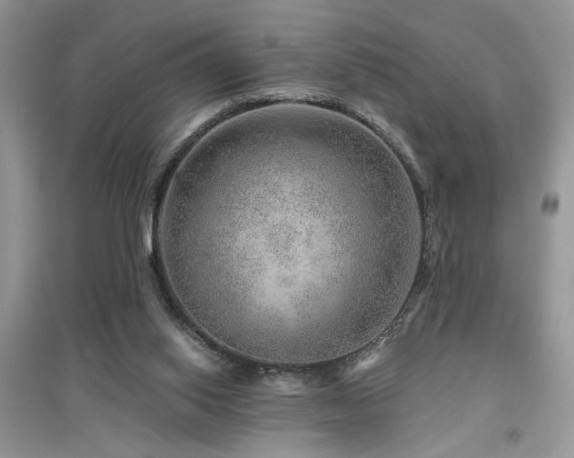 X0000094960062200711291450