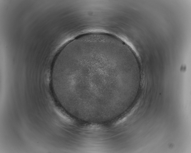 X0000094960063200711291450