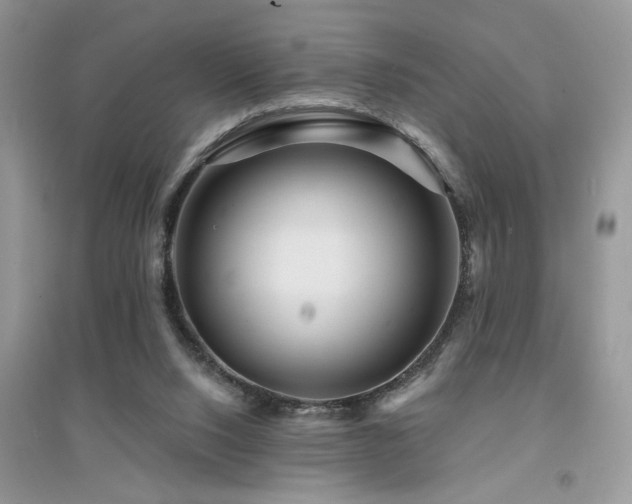 X0000094960064200711291450