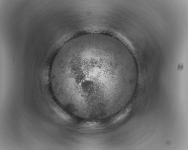 X0000094960065200711291450