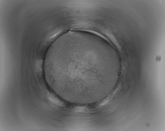 X0000094960066200711291450