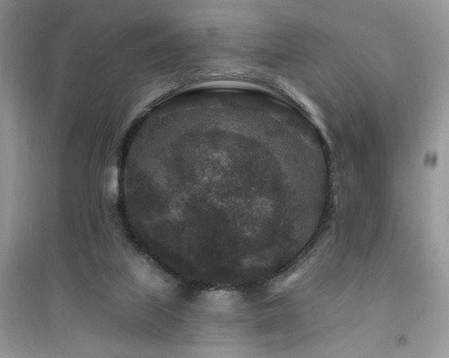 X0000094960067200711291450