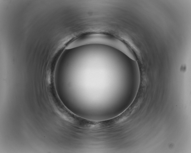 X0000094960068200711291450