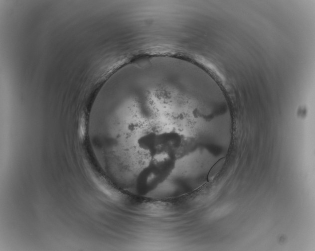 X0000094960069200711291450