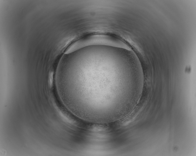 X0000094960070200711291450