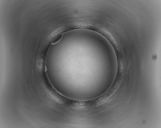 X0000094960071200711291450