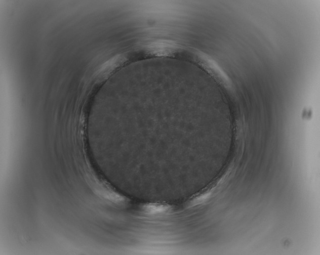 X0000094960073200711291450