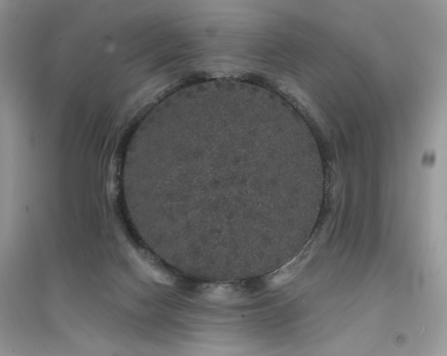 X0000094960074200711291450