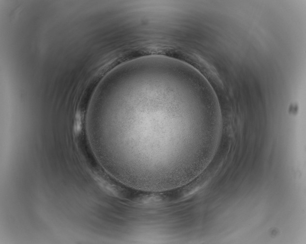 X0000094960075200711291450