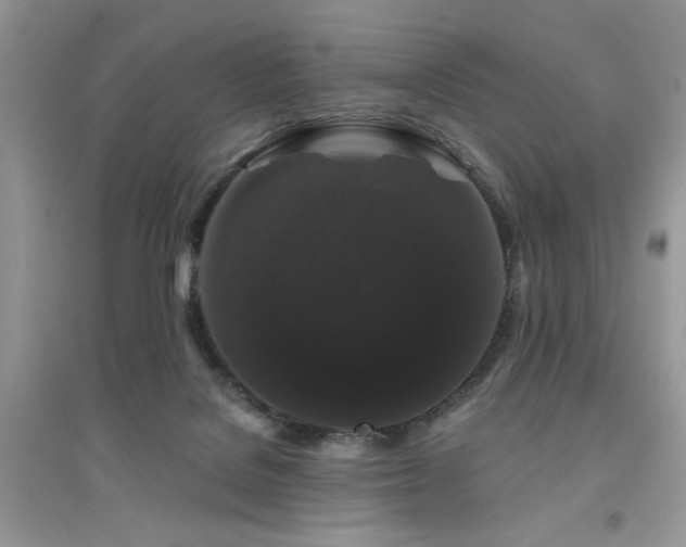 X0000094960076200711291450