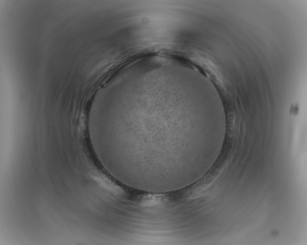 X0000094960077200711291450