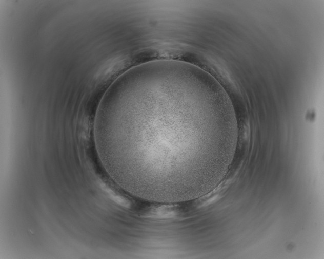 X0000094960078200711291450