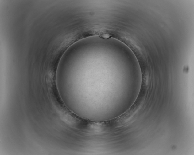 X0000094960079200711291450