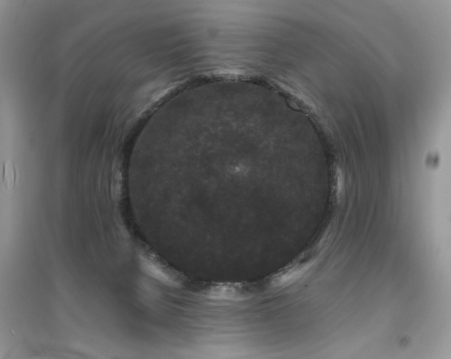 X0000094960080200711291450