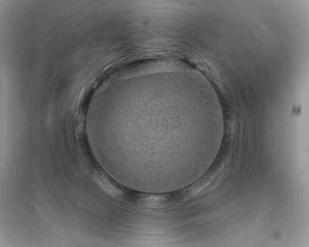 X0000094960081200711291450