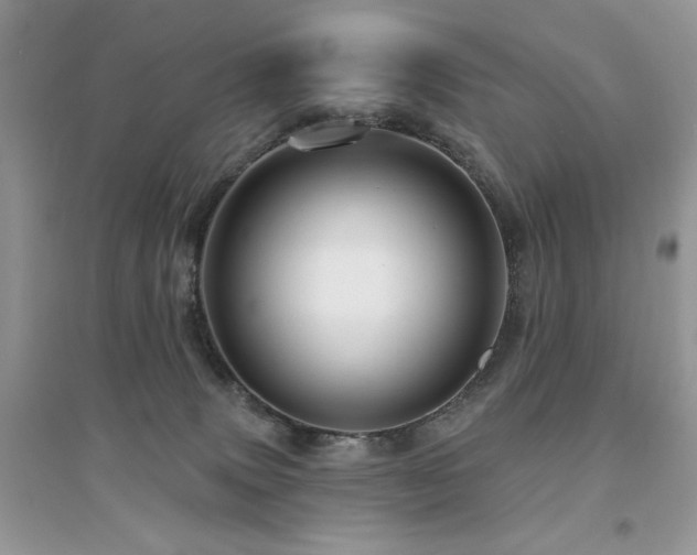 X0000094960083200711291450