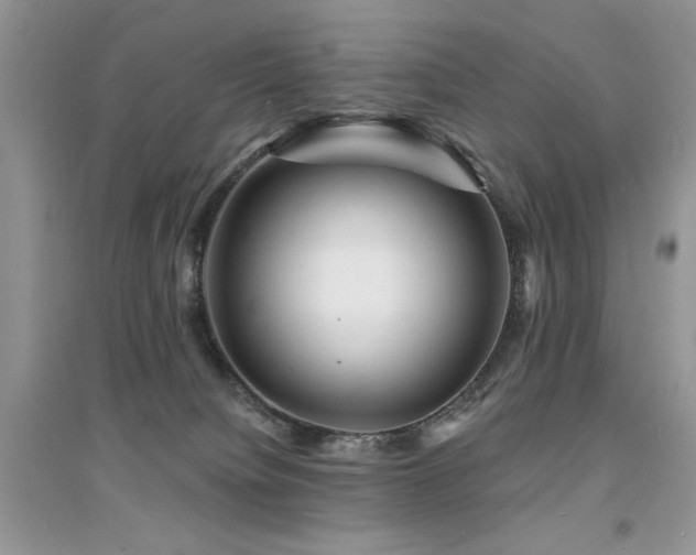 X0000094960084200711291450