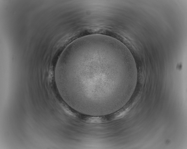 X0000094960085200711291450