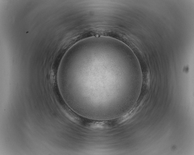 X0000094960086200711291450