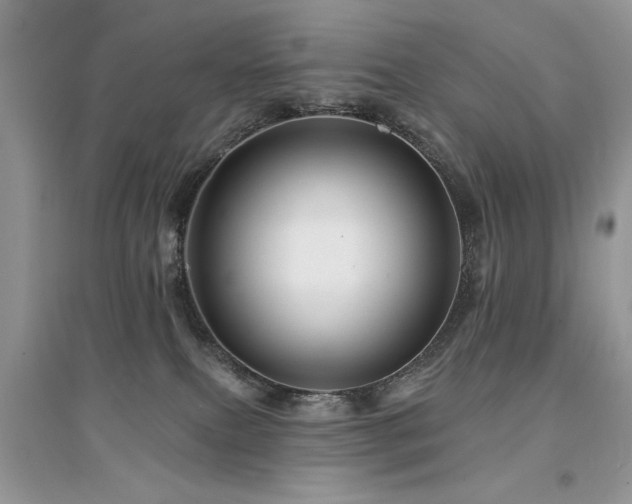 X0000094960087200711291450