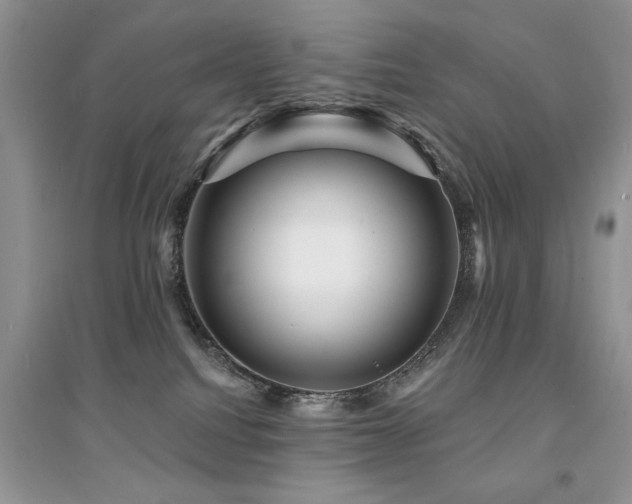 X0000094960088200711291450