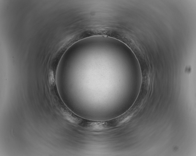 X0000094960089200711291450