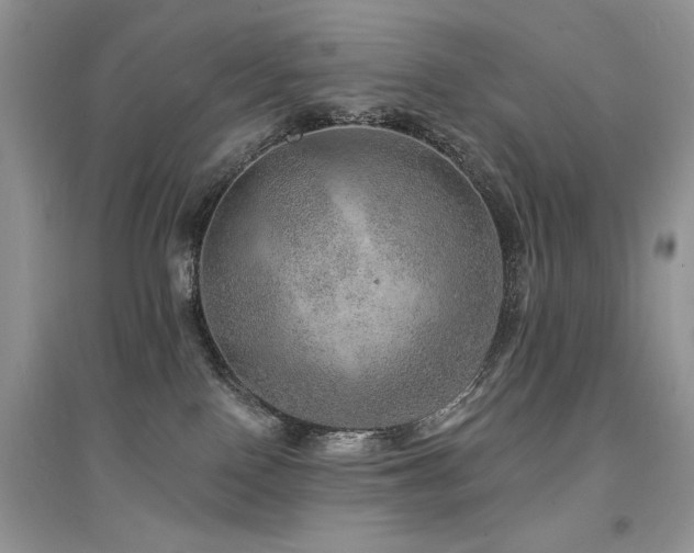 X0000094960090200711291450