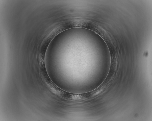 X0000094960091200711291450