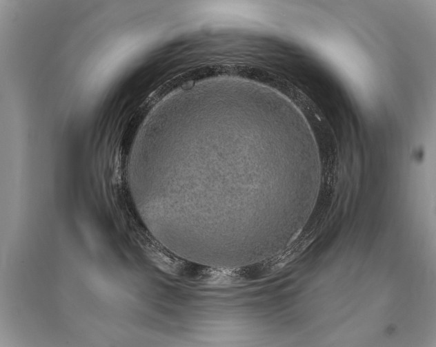 X0000094960093200711291450