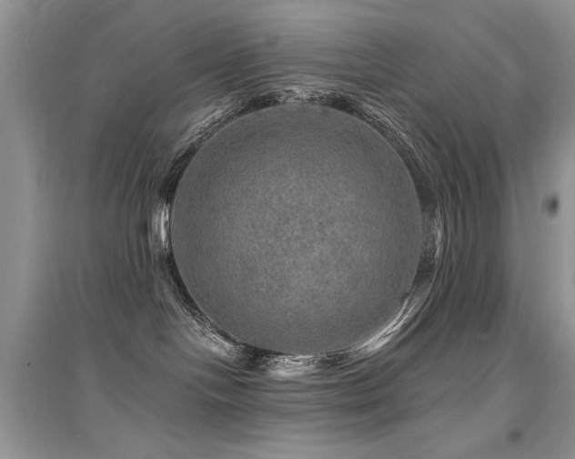 X0000094960094200711291450