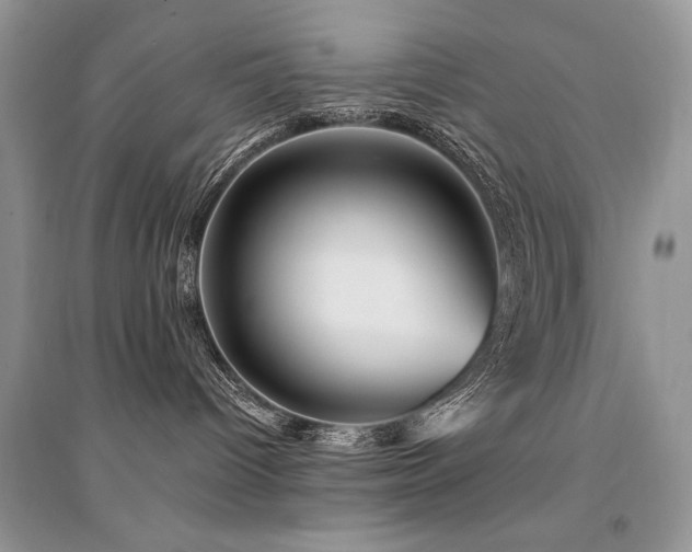 X0000094960096200711291450