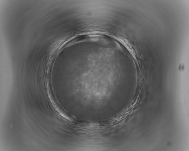 X0000094960097200711291450