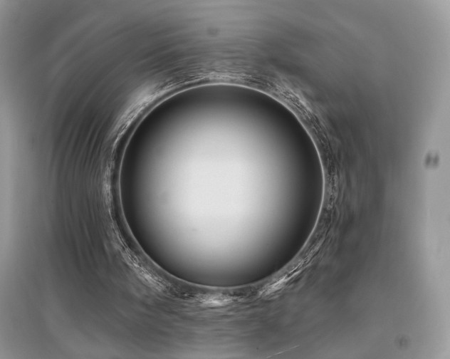 X0000094960098200711291450